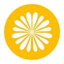 Golden Hour Browser Usage Insights  screen for extension Chrome web store in OffiDocs Chromium