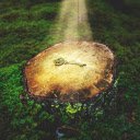 Golden key tree  screen for extension Chrome web store in OffiDocs Chromium