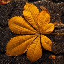 golden leaf  screen for extension Chrome web store in OffiDocs Chromium