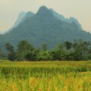 Golden Rice  screen for extension Chrome web store in OffiDocs Chromium