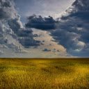 Golden ripe rice fields  screen for extension Chrome web store in OffiDocs Chromium
