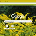 Goldenrod  screen for extension Chrome web store in OffiDocs Chromium