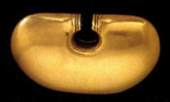 Free download Gold Nose Ornament free photo or picture to be edited with GIMP online image editor