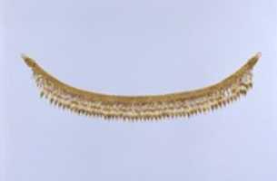 Free download Gold strap necklace with seedlike pendants free photo or picture to be edited with GIMP online image editor