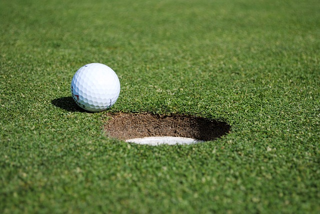 Unduh gratis bola golf green hole course sport gambar gratis untuk diedit dengan editor gambar online gratis GIMP