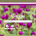 Gomphrena  screen for extension Chrome web store in OffiDocs Chromium