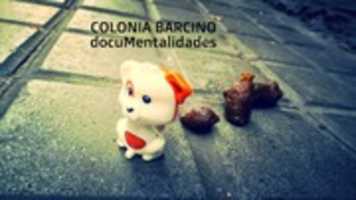 Free download Gonzalo Marcuzzi COLONIA B ( 63) free photo or picture to be edited with GIMP online image editor