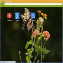Tela Good Morning Butterfly para extensão Chrome web store em OffiDocs Chromium