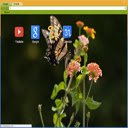 Good Morning Butterfly-Bildschirm für die Erweiterung des Chrome-Webshops in OffiDocs Chromium