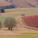 Good soil and hills  screen for extension Chrome web store in OffiDocs Chromium