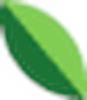 Free download Google Leaf Icon free photo or picture to be edited with GIMP online image editor