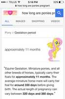 Free download Google MLP Error: Fluttershy (Mobile Screenshot) free photo or picture to be edited with GIMP online image editor