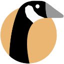 GoosePilot: Automated Job Tracker  screen for extension Chrome web store in OffiDocs Chromium