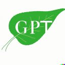 GPT4Overleaf  screen for extension Chrome web store in OffiDocs Chromium