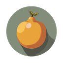Granola transcriber  screen for extension Chrome web store in OffiDocs Chromium