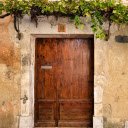 Grape trellis in front of the door  screen for extension Chrome web store in OffiDocs Chromium