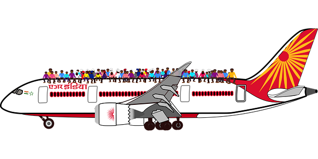 Kostenloser Download Grafik Flugzeug India AirKostenlose Vektorgrafik auf Pixabay kostenlose Illustration zur Bearbeitung mit GIMP Online-Bildbearbeitung