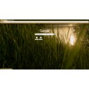 Grass  screen for extension Chrome web store in OffiDocs Chromium