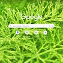 Grass And Dew  screen for extension Chrome web store in OffiDocs Chromium