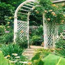 Grass and flower garden wallpaper  screen for extension Chrome web store in OffiDocs Chromium