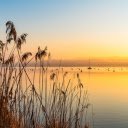 Grass and Sunset  screen for extension Chrome web store in OffiDocs Chromium