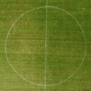 Grass football field and goal lines  screen for extension Chrome web store in OffiDocs Chromium