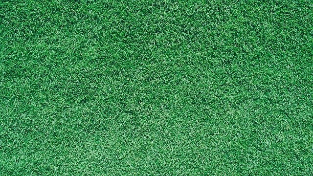 Free download grass ground background green grass free picture to be edited with GIMP free online image editor