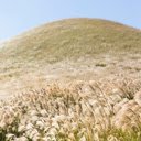 Grass on Rolling Hill  screen for extension Chrome web store in OffiDocs Chromium