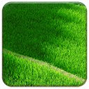 OffiDocs Chromium 中用于扩展 Chrome 网上商店的 Grassy Terraces 屏幕