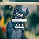 Gray Parrotthemeforchrome  screen for extension Chrome web store in OffiDocs Chromium