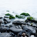 Gray Rocks With Moss  screen for extension Chrome web store in OffiDocs Chromium