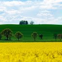 green and yellow  screen for extension Chrome web store in OffiDocs Chromium