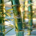 Green bamboo trees Wallpaper  screen for extension Chrome web store in OffiDocs Chromium