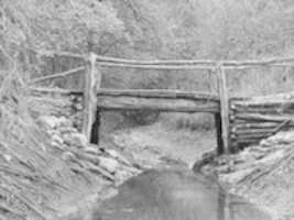 বিনামূল্যে ডাউনলোড করুন Greenbelt Footbridge বিনামূল্যের ছবি বা ছবি GIMP অনলাইন ইমেজ এডিটর দিয়ে সম্পাদনা করতে