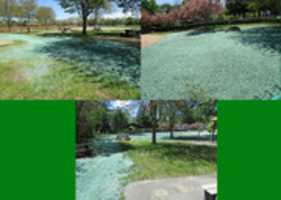 Free download Green Chemicals For The Grass At Wilson Park free photo or picture to be edited with GIMP online image editor