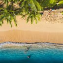 Green Coconut and the Sea  screen for extension Chrome web store in OffiDocs Chromium