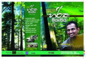 Free download Green concert dvd cover for local market free photo or picture to be edited with GIMP online image editor