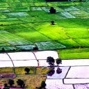Green field  screen for extension Chrome web store in OffiDocs Chromium