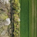 Green fields next to the forest  screen for extension Chrome web store in OffiDocs Chromium