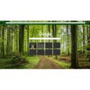 Green Forest 1920x1080  screen for extension Chrome web store in OffiDocs Chromium