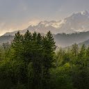 Green Forest and Valley  screen for extension Chrome web store in OffiDocs Chromium