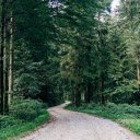Green Forest Road  screen for extension Chrome web store in OffiDocs Chromium