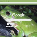 Green Frog  screen for extension Chrome web store in OffiDocs Chromium