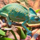 Green gecko  screen for extension Chrome web store in OffiDocs Chromium