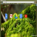 Pantalla Green Grass para extensión Chrome web store en OffiDocs Chromium