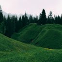 Green Grass Field and Trees  screen for extension Chrome web store in OffiDocs Chromium