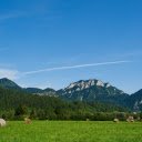 Green Grassland  screen for extension Chrome web store in OffiDocs Chromium