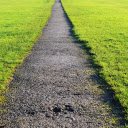 Green grass on both sides of the road  screen for extension Chrome web store in OffiDocs Chromium