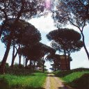 Green grass path  screen for extension Chrome web store in OffiDocs Chromium