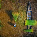 Green Grass Pond  screen for extension Chrome web store in OffiDocs Chromium